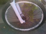 IMG-20130703-01436.jpg