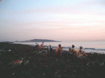 piedras 2.gif