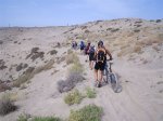 p62608421dm[1].jpg