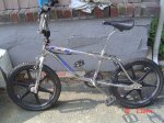 dsc06480_lg.jpg