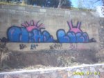 PICT0015256.jpg