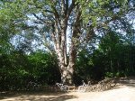 DSC07417.JPG