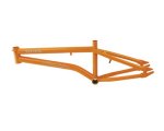 dita_frame_mustard.jpg