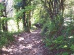 100_0257.JPG