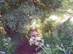 100_0267.JPG