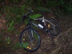 100_0269.JPG