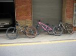 IMG_1151.JPG