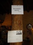 DSC00863_redimensionar.JPG