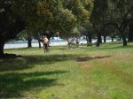 DSC00877_redimensionar.JPG