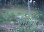 P0000028_redimensionar.JPG