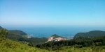 IMG_20130706_115020.jpg