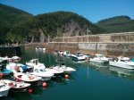 IMG_20130706_121718.jpg