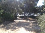 2013-07-07 10.58.14.jpg