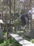 1002936_541998929193275_415681400_n[1].jpg