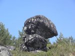 1044023_541998582526643_558421158_n[1].jpg