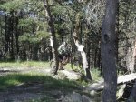 1069994_541998995859935_2144346281_n[1].jpg