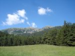DSC00050.JPG