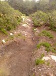 600523_542428559150312_1367960671_n[2].jpg