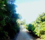 Imagen2309.jpg