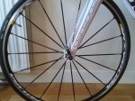 2013-07-11 09.47.31.jpg