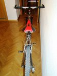 DSC05768.JPG