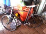 bike.jpg