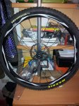 roda 1.jpg