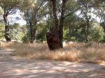 2013-07-13-644_01.JPG