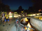 DSC01271.jpg