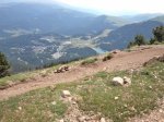 DSC04340.JPG