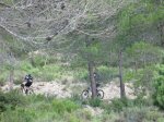 IMG_2599.JPG
