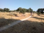 2013-07-14-650.JPG