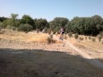 2013-07-14-651.JPG