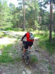 Foto25.JPG