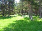 Foto30.JPG