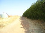 DSC01303.jpg