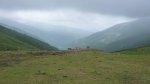 P1190774 (Copiar).JPG