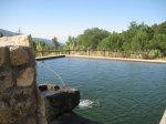 IMG_4849 [800x600].JPG