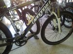 cannondale 3.JPG
