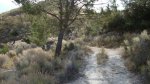 DSC00381.JPG