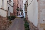 DSC01669.jpg