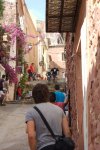 DSC01687.jpg