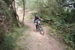 DSC01768.jpg