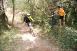 DSC01770.jpg