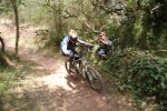 DSC01774.jpg