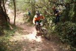 DSC01785.jpg
