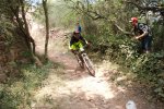 DSC01795.jpg