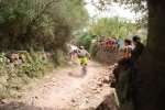 DSC01803.jpg