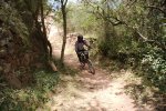 DSC01809.jpg