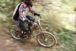 DSC01811.jpg